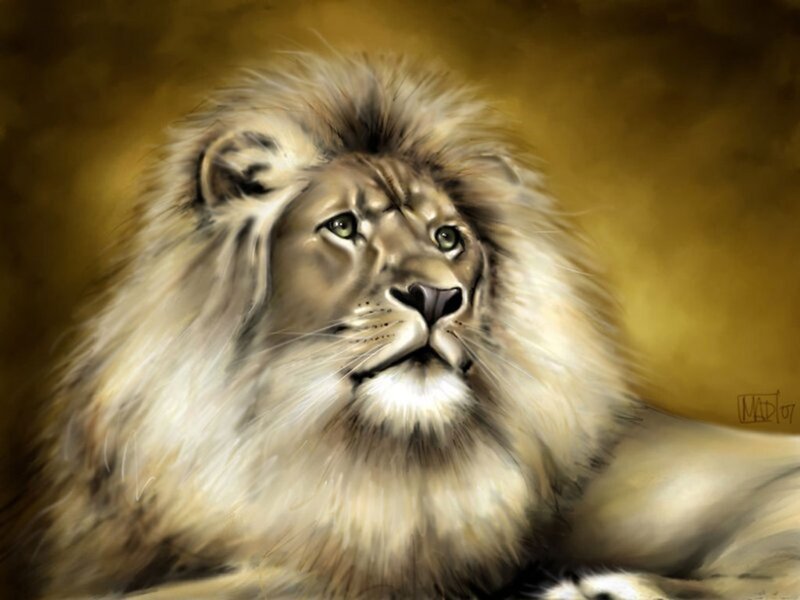 Lion with Mane — Gold