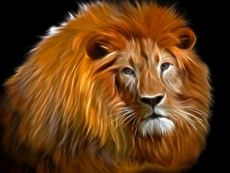 Lion with Mane — Orange
