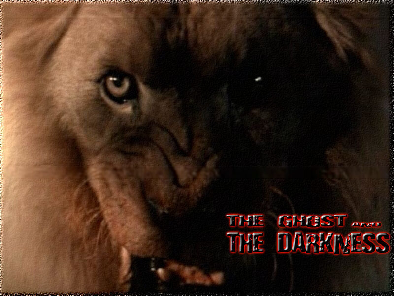 Lion with Open Mouth — Brown, Dark