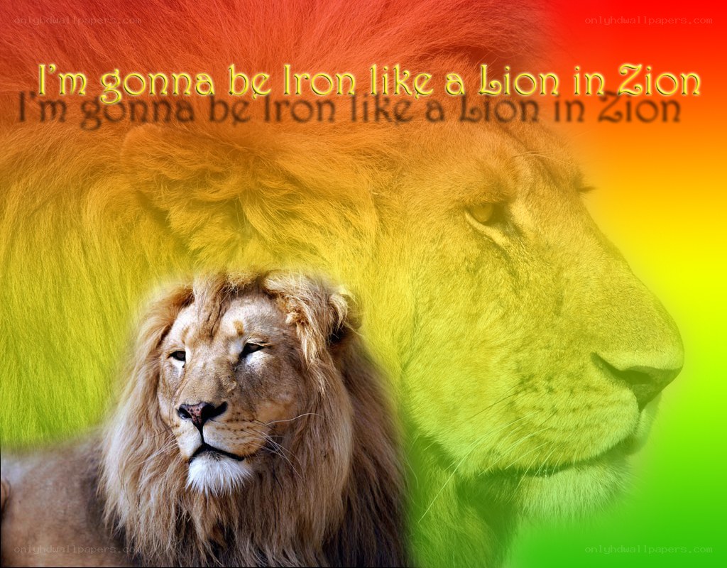 lion with rainbow colors