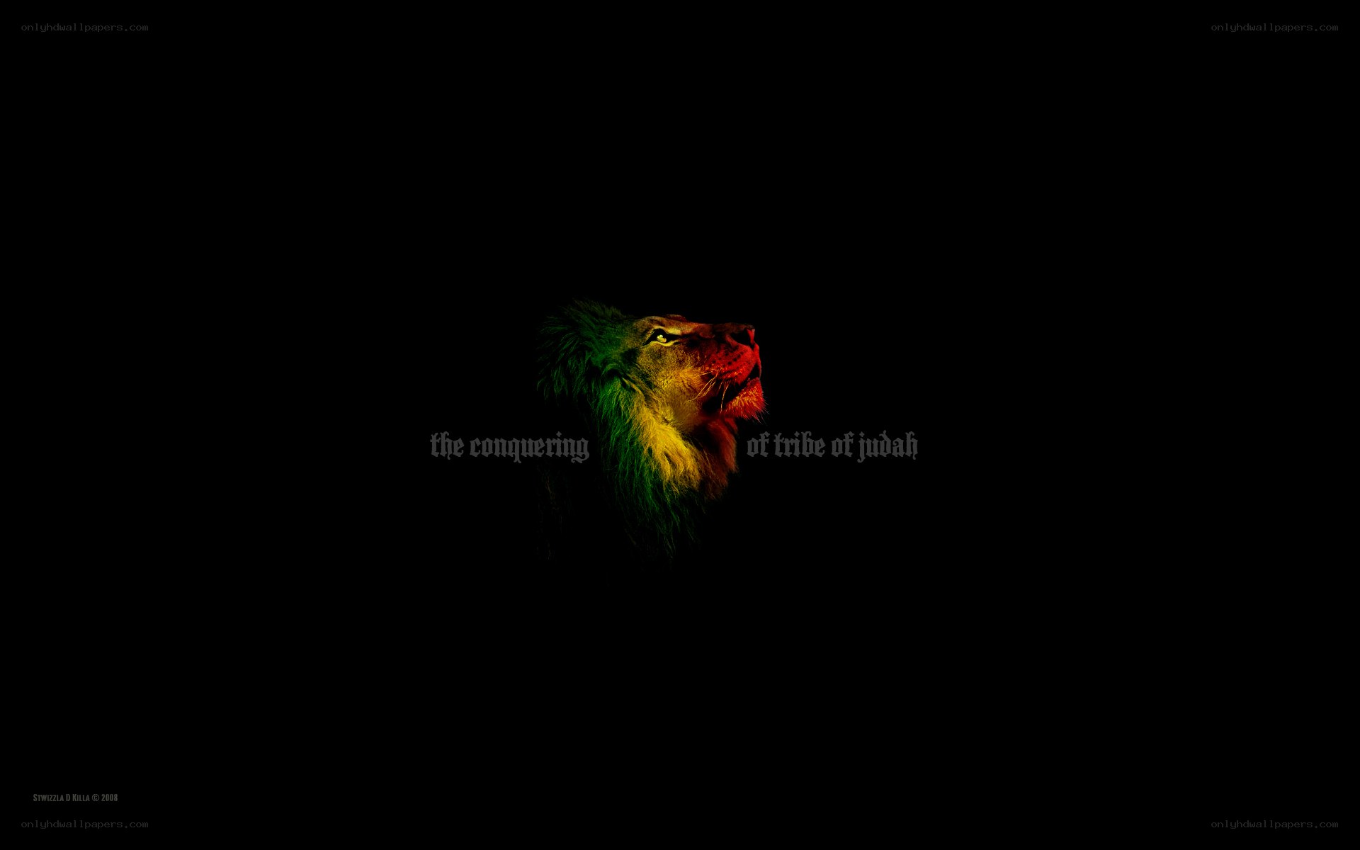lion with rasta colors