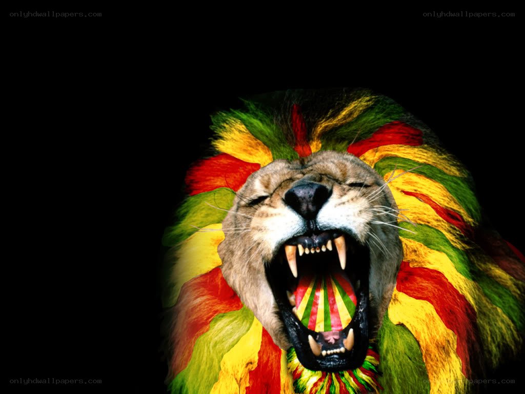 lion with rasta colors