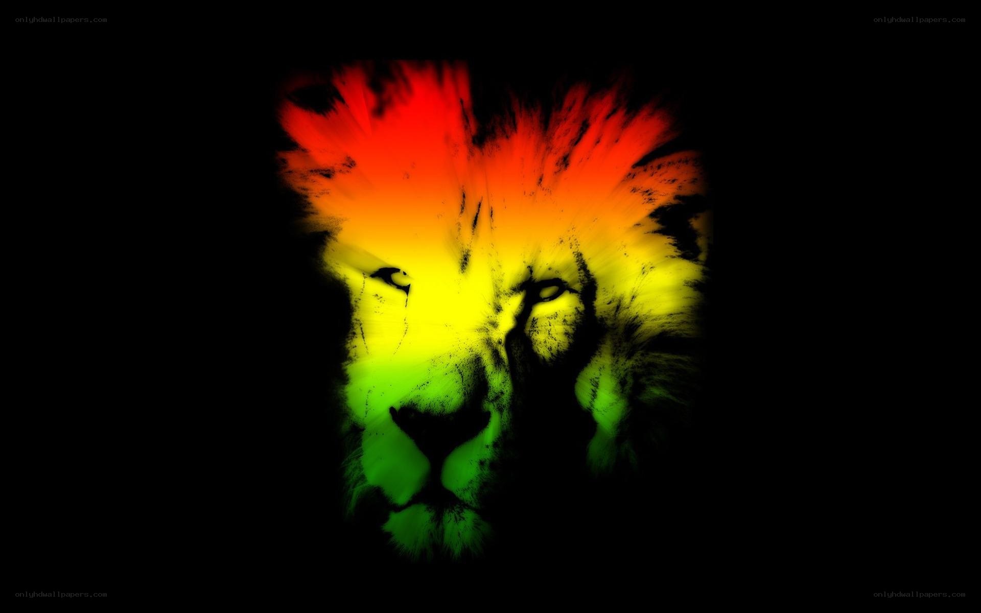 lion with rasta colors
