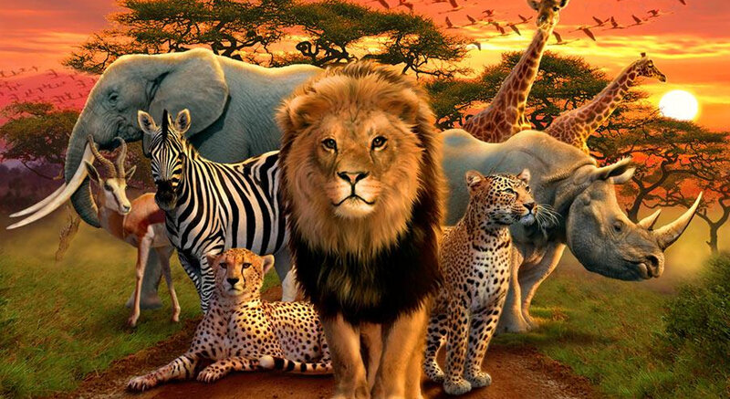 Lion with Safari Animals