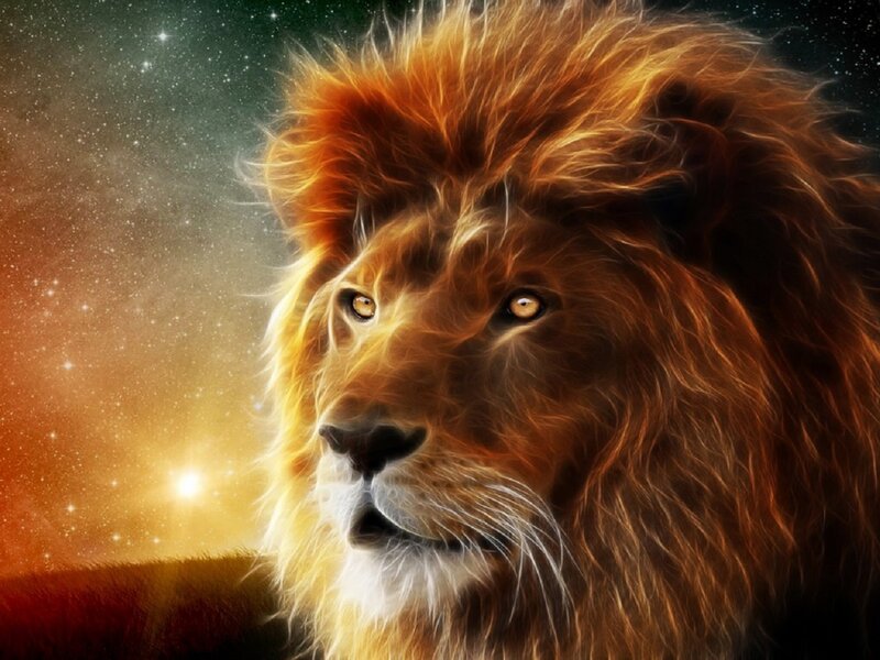 Lion with Starry Sky