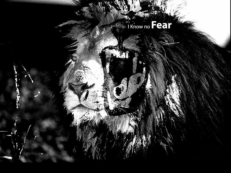 lion with text overlay