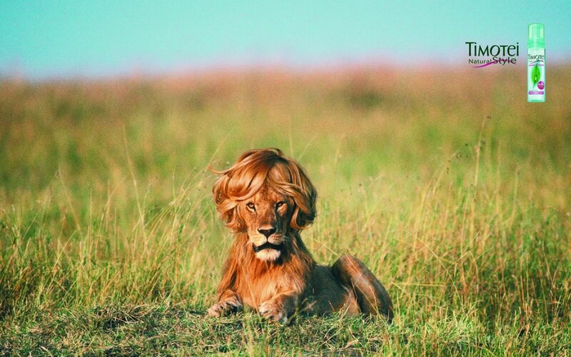 Lion with Wig in Grass — Green