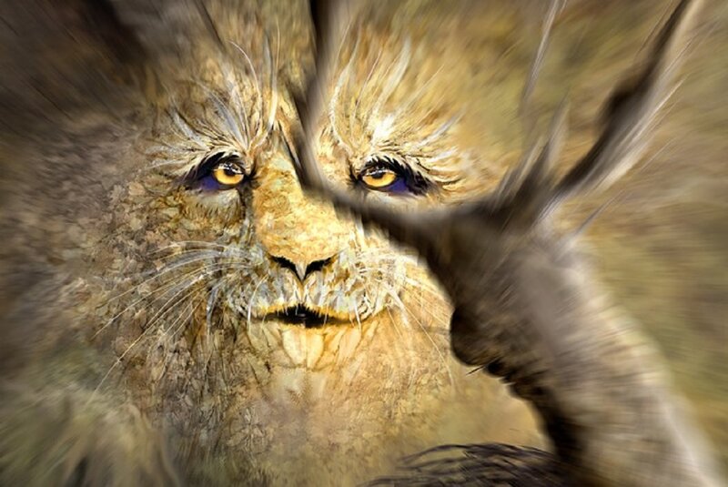 Lion with Yellow Eyes