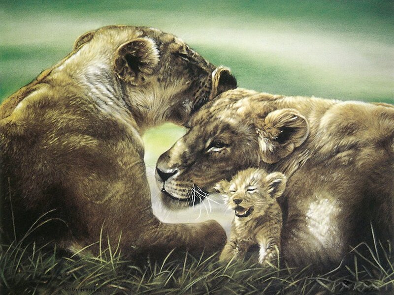 Lioness and her cubs