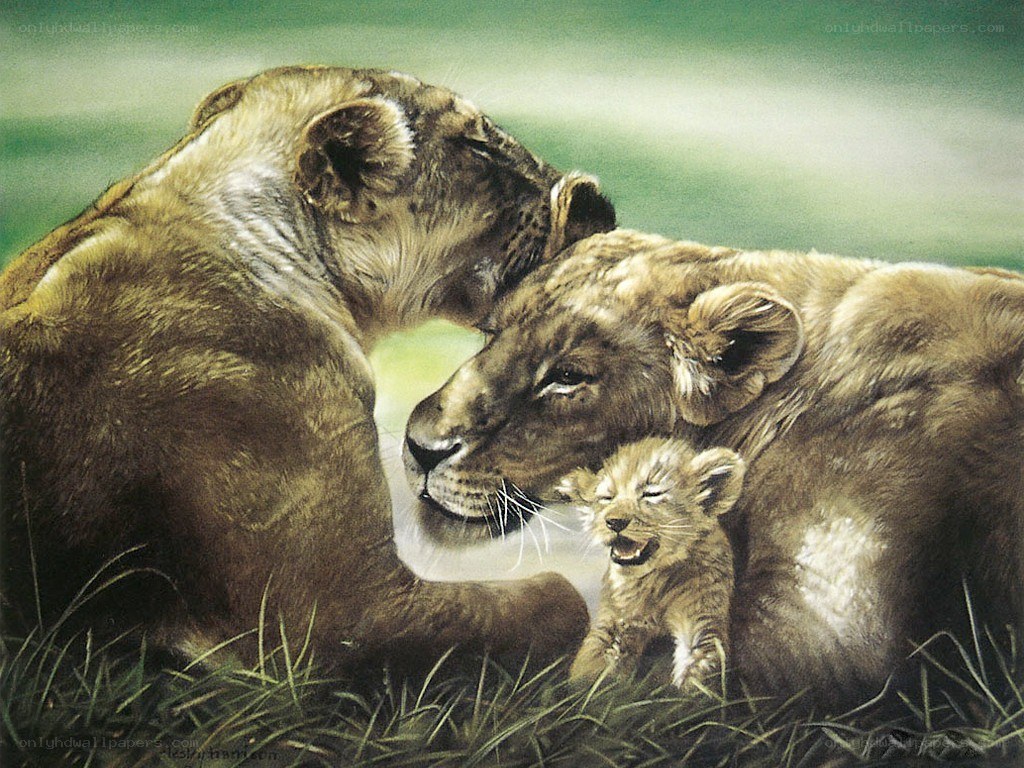 Lioness and her cubs