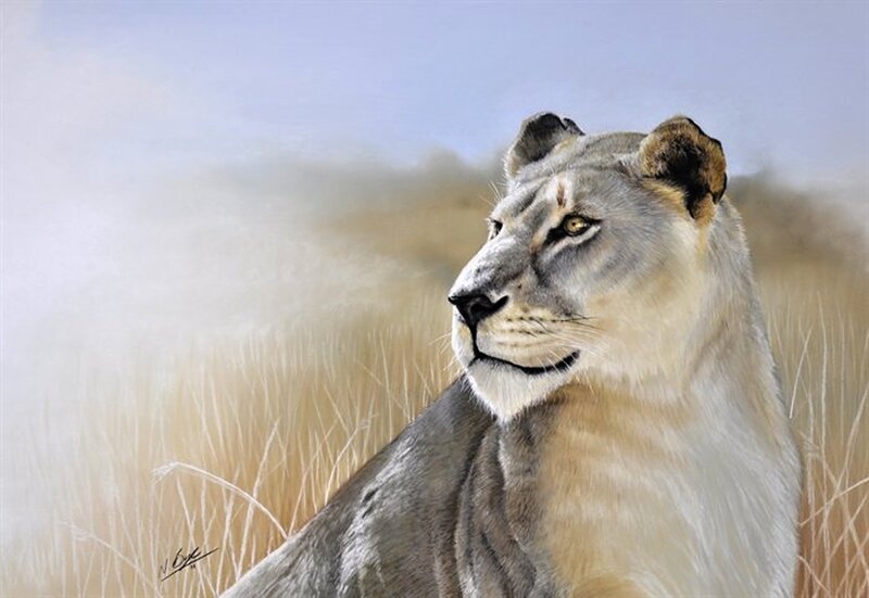 Lioness in Tall Grass — Beige