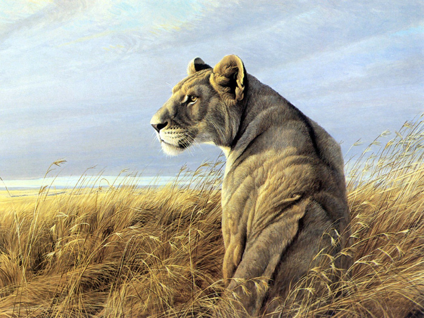 Lioness in the Savanna