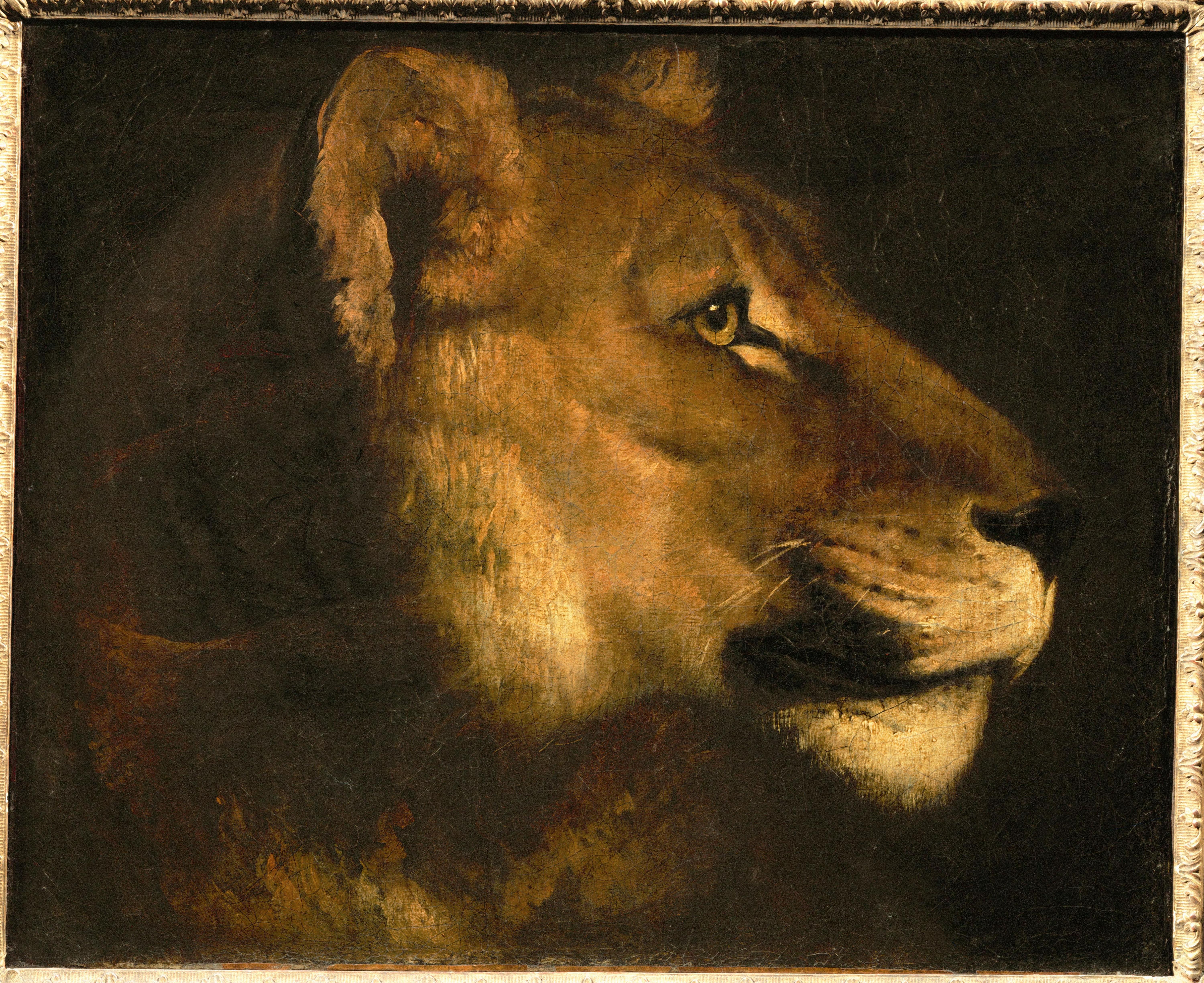Lioness portrait painting