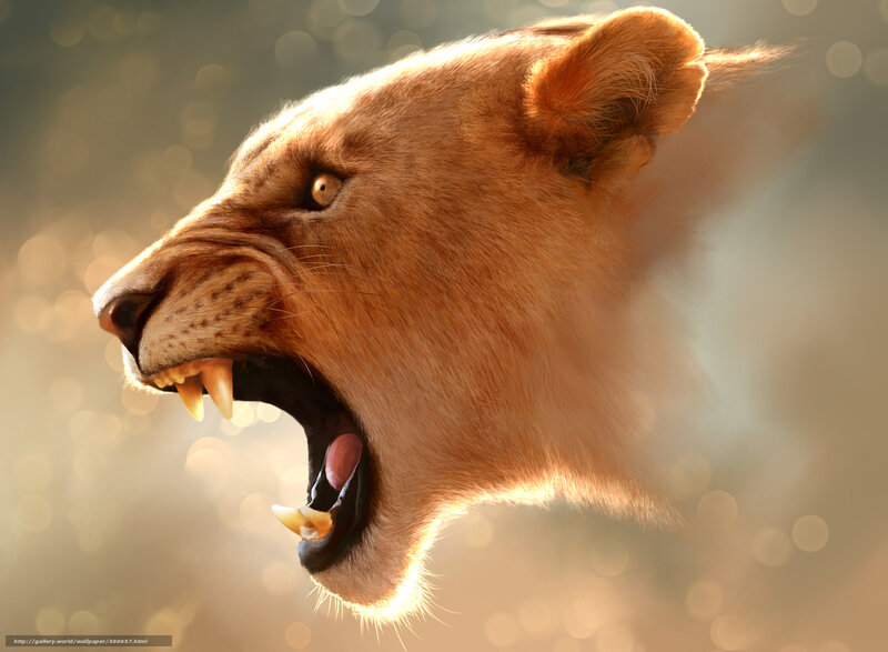 Lioness Roaring — Brown, Dramatic, Sunset, Digital Art, Teeth