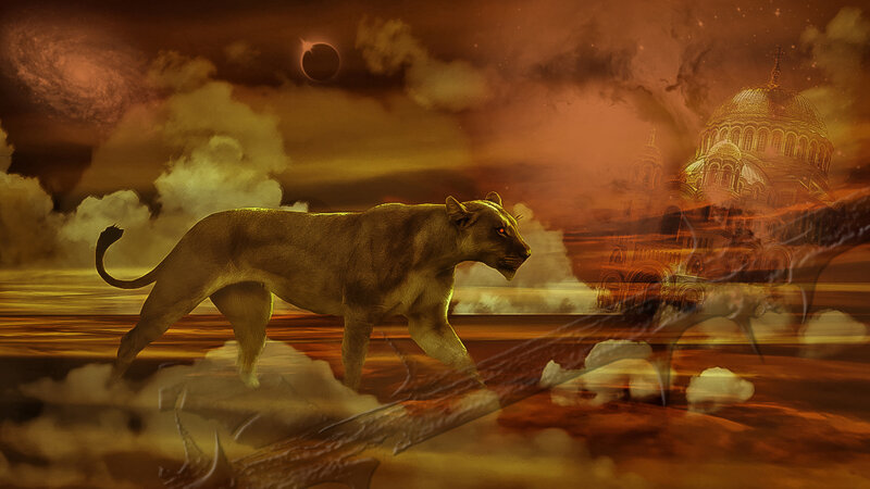 Lioness Walking in Desert