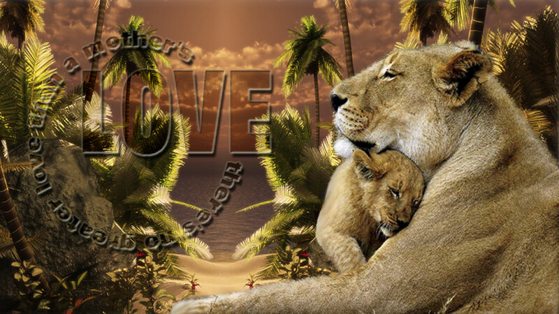 Lioness with Cub — Brown, Serene, Sunset