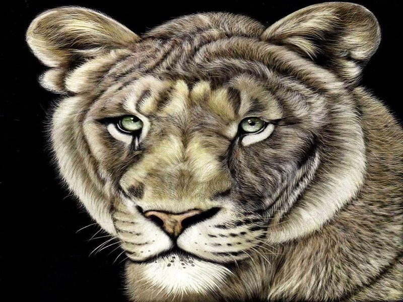 Lioness with Green Eyes