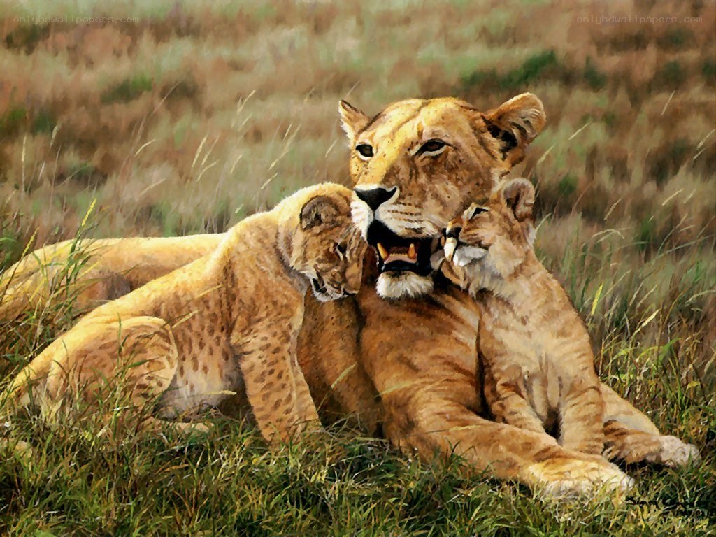Lioness with her cubs