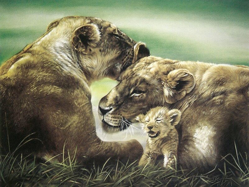 Lioness with her cubs