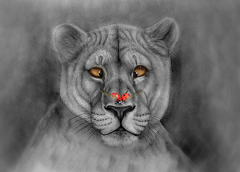 Lioness with Ladybug