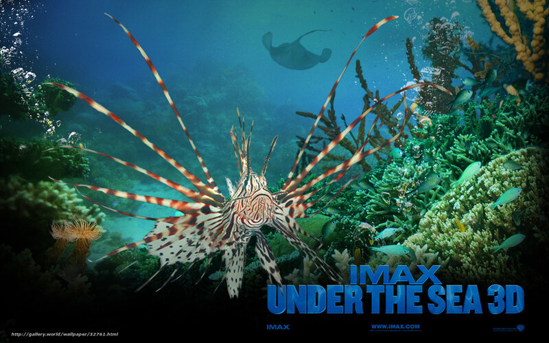 Lionfish in Coral Reef — Blue, Serene