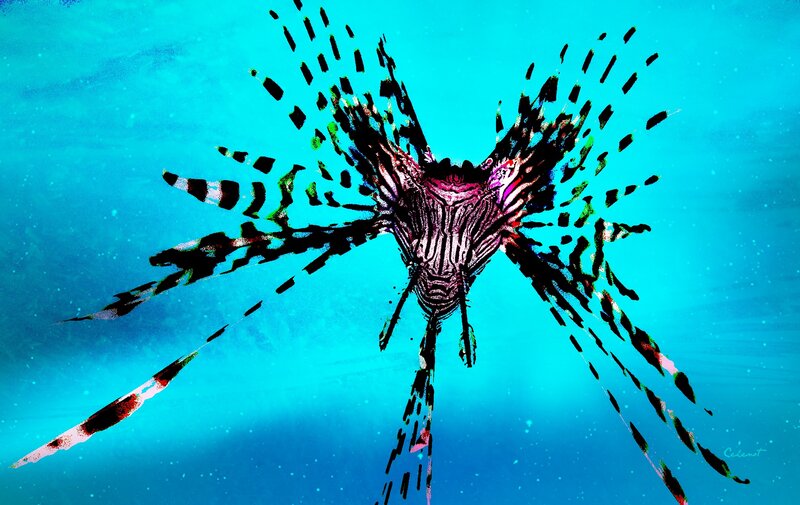 Lionfish in Water — Blue, Dramatic