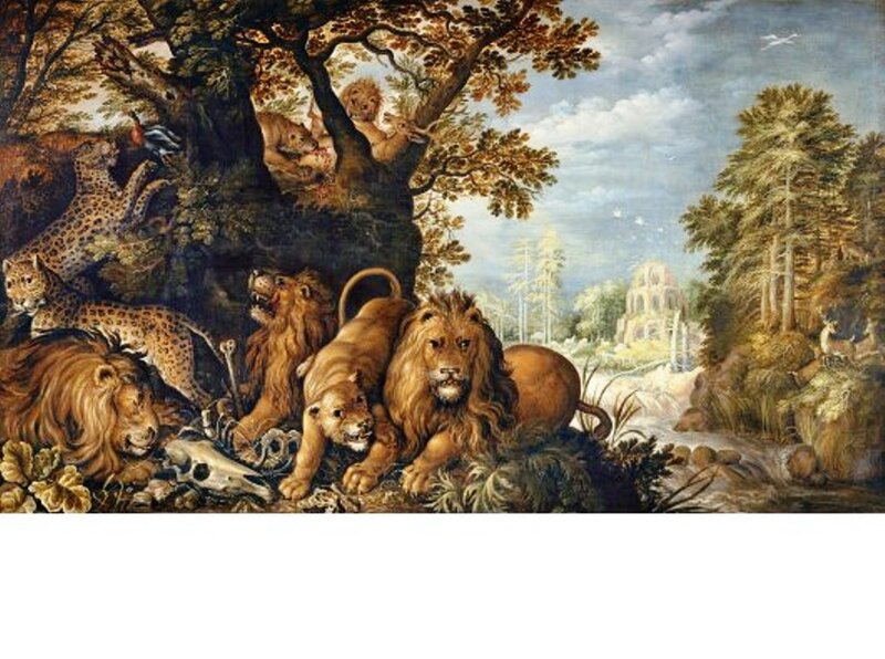 Lions and Leopards in Forest
