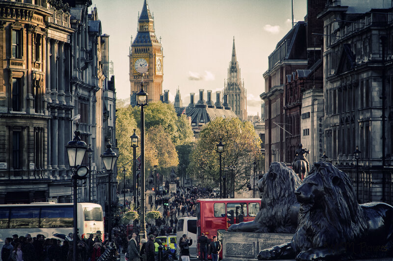 Lions at Parliament Square