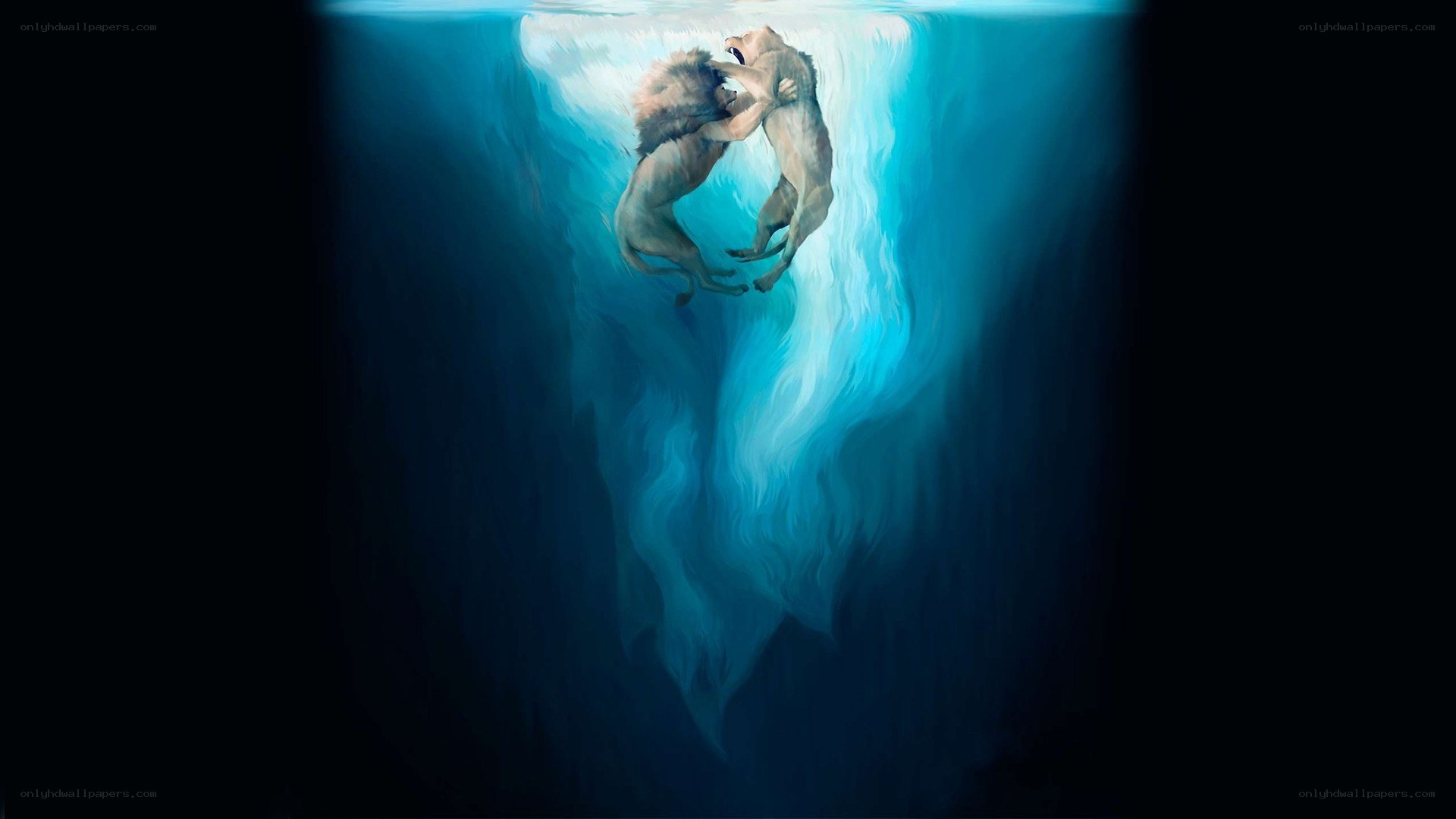 Lions fighting underwater