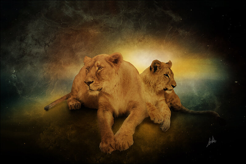 Lions in a cosmic landscape