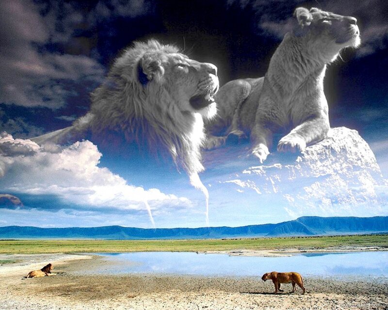 Lions in Savanna — Blue, Dramatic, Afternoon, Digital Art