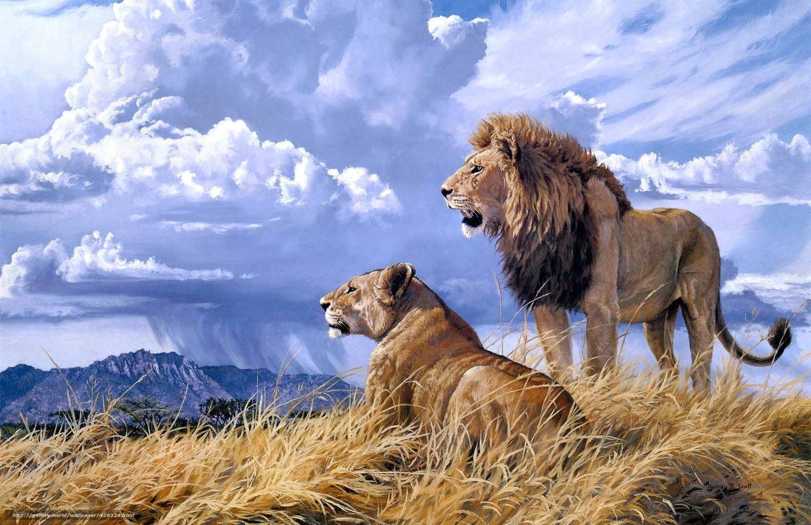 Lions on a grassy hill