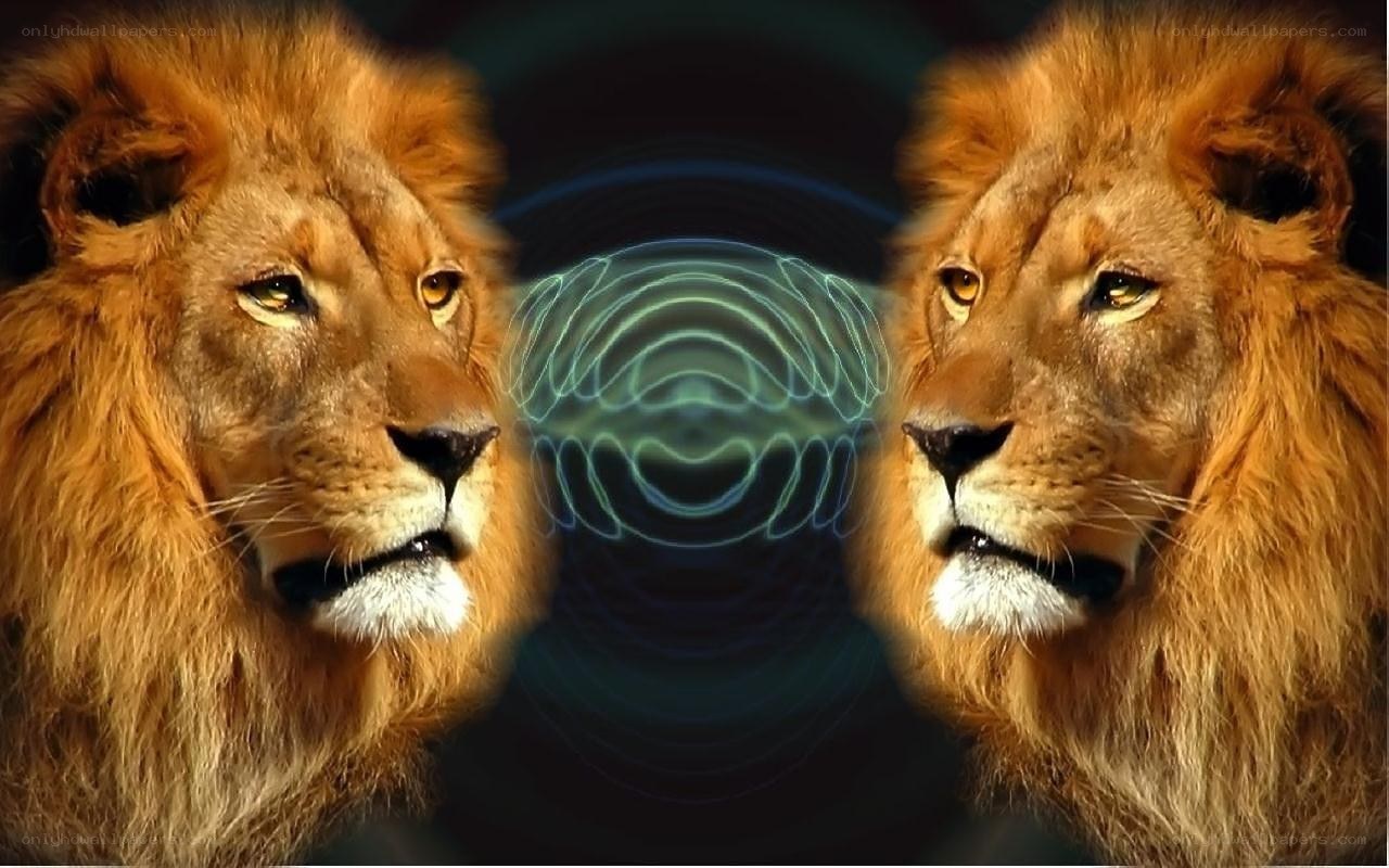 Lions with energy waves
