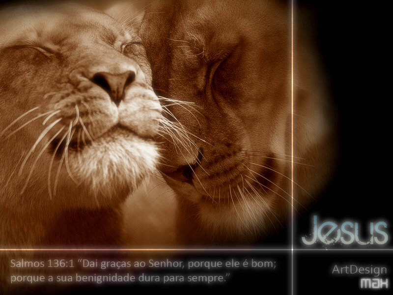 Lions with Jesus text