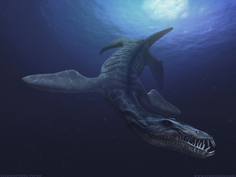 Liopleurodon swimming underwater