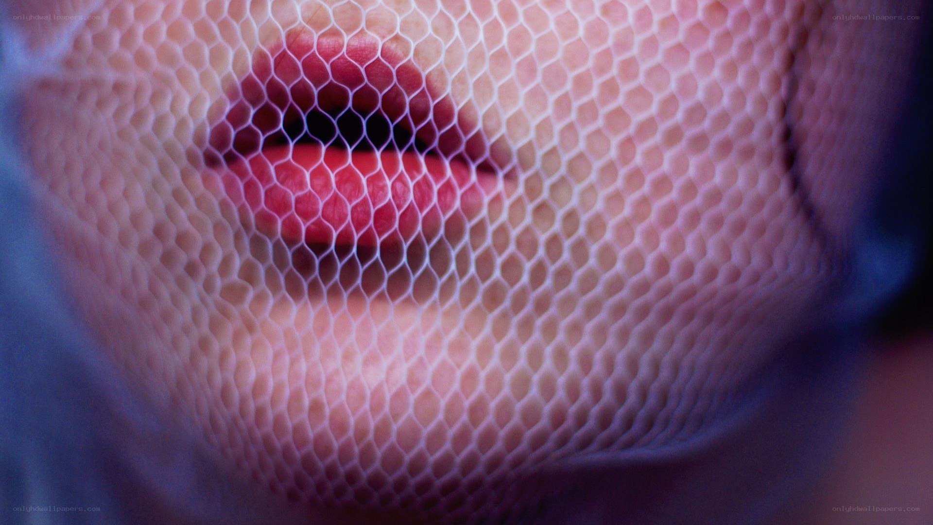 lips behind mesh veil