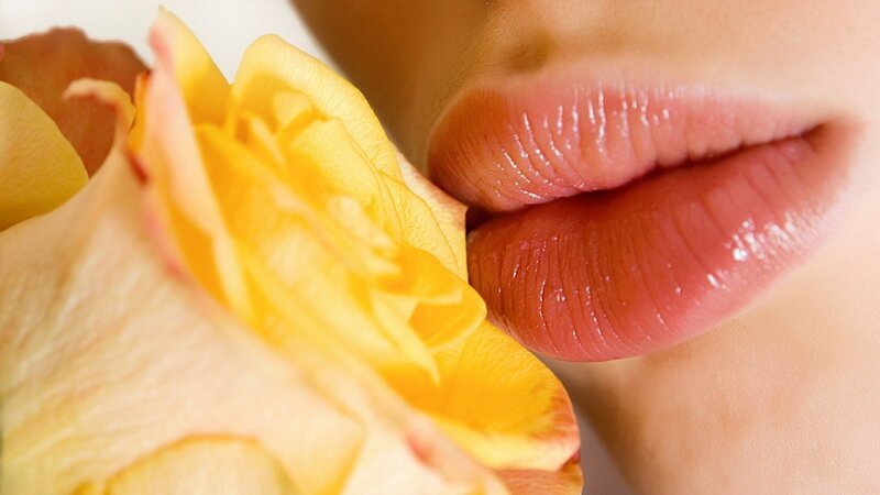 lips kissing a yellow rose