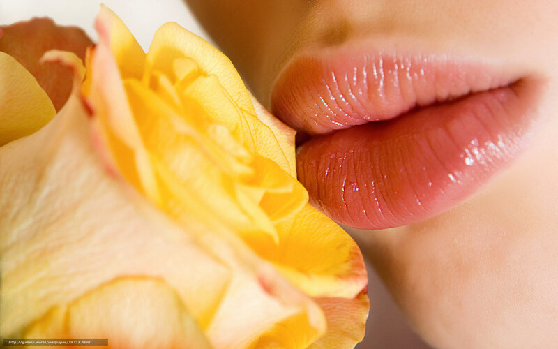 lips kissing a yellow rose