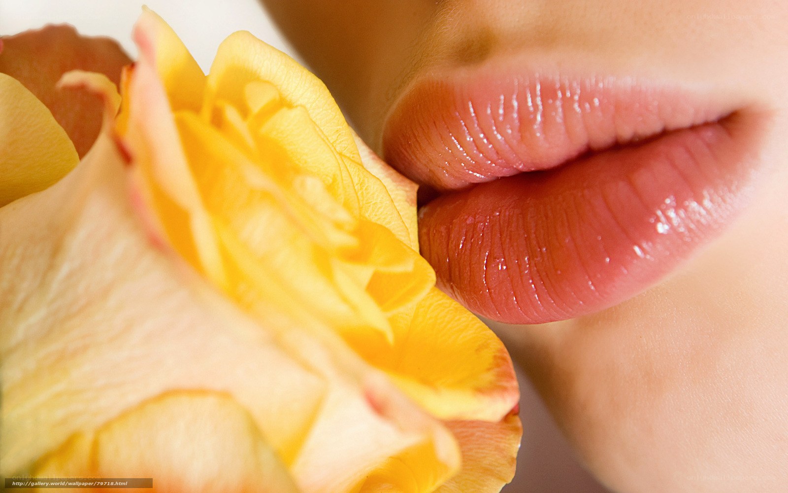lips kissing a yellow rose