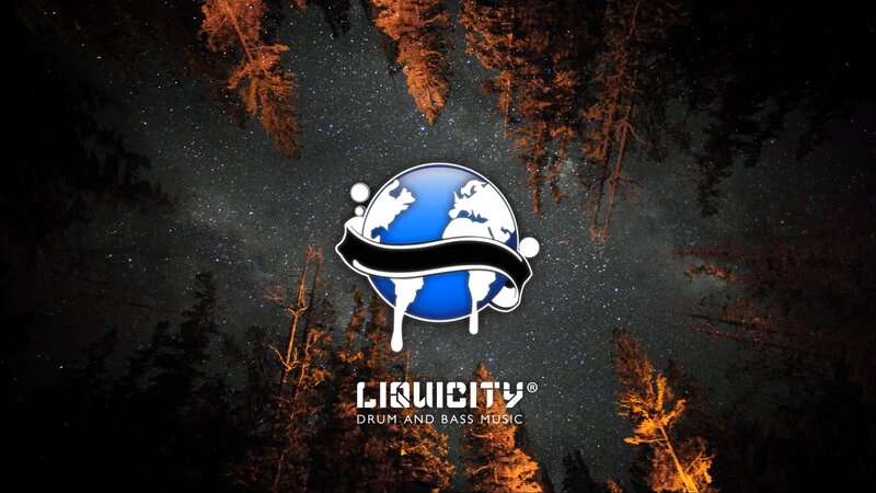 Liquicity Logo in Forest — Black