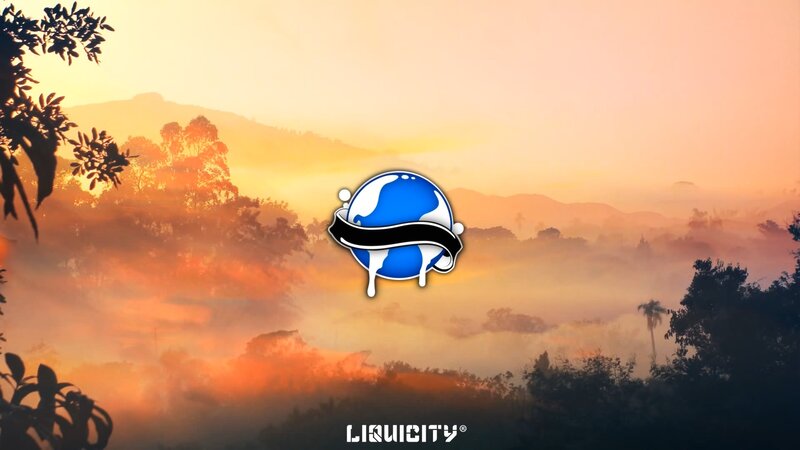 Liquicity Logo on Landscape — Orange