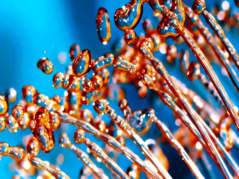 Liquid Droplets in Motion