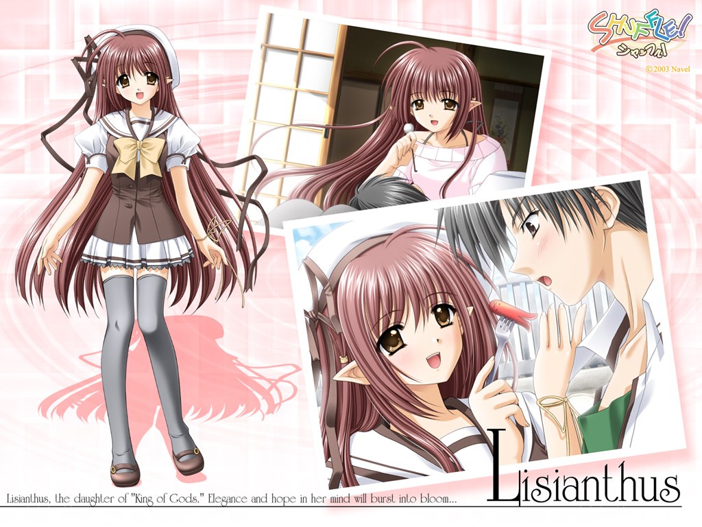 Lisianthus character art