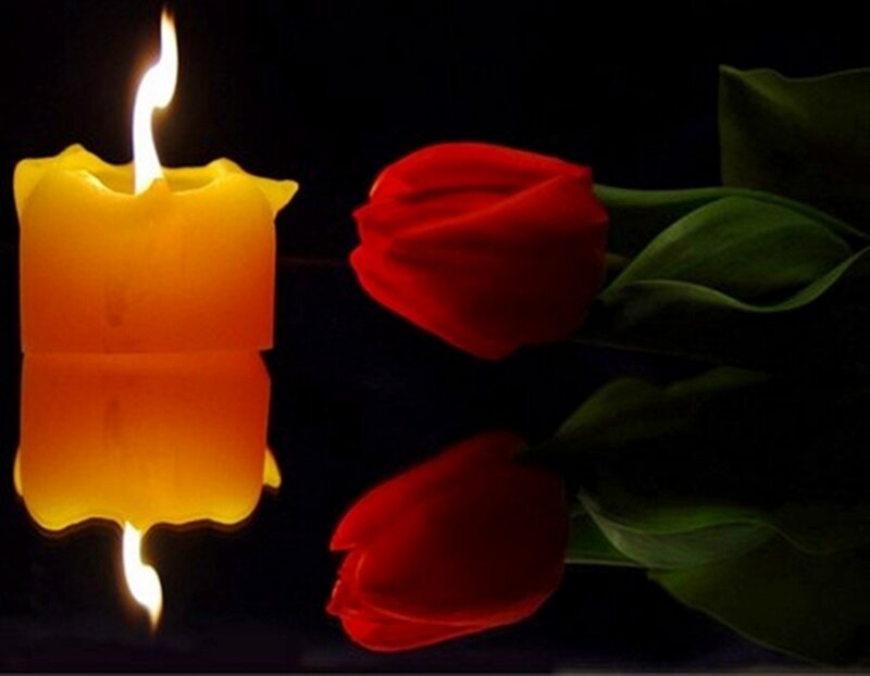 Lit Candle and Red Tulips