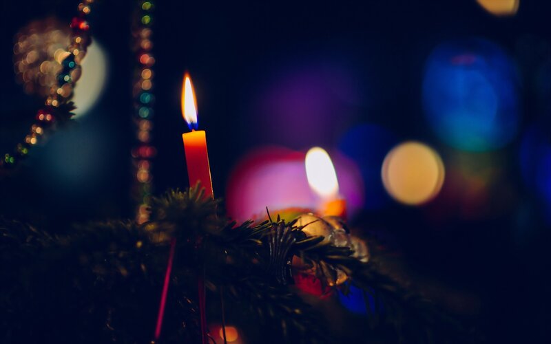 Lit Candle on Tree Branch