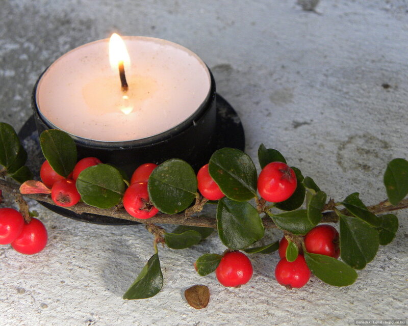 Lit Candle with Berries