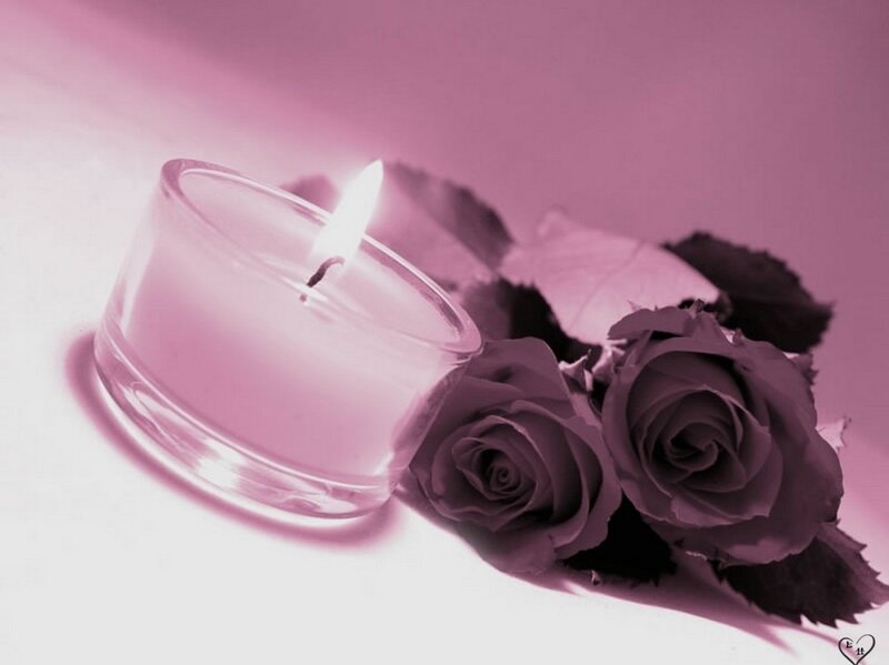 Lit Candle with Roses — Pink, Serene