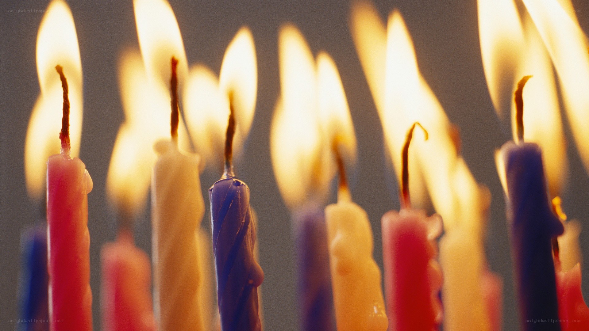 lit candles in a row