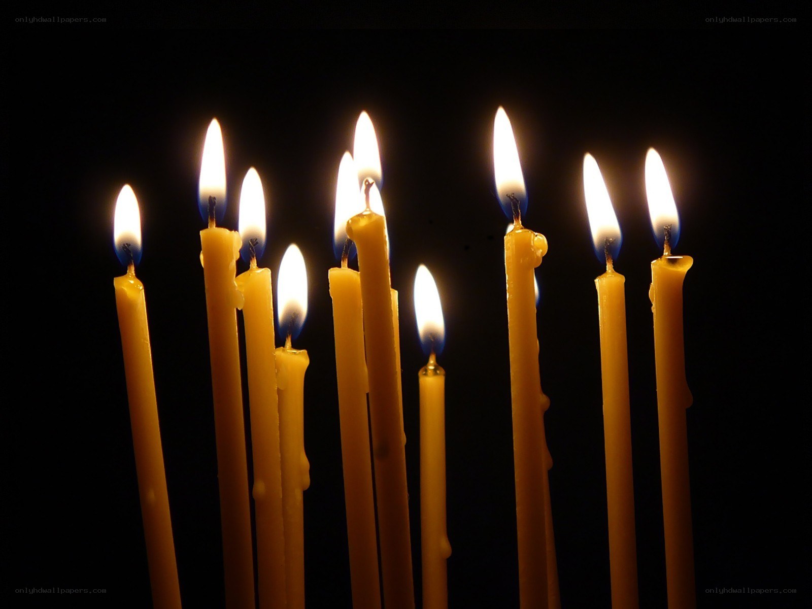 lit candles in darkness