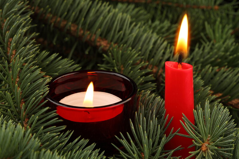 Lit Candles in Pine